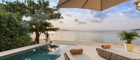 An infinity pool with a view of the sea, a beach, and a palm tree.