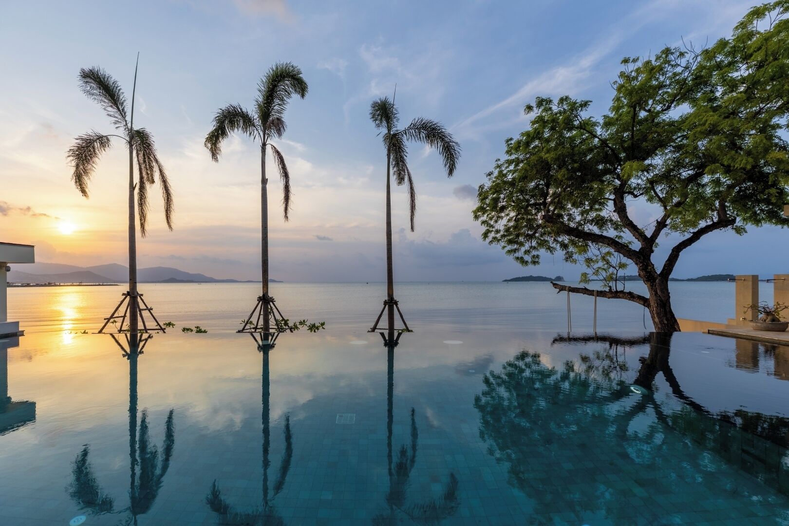 An infinity pool with palm trees and a tree on the right, reflecting the sky and water.