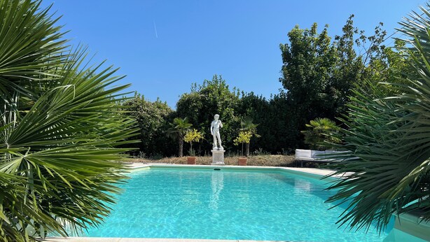 A clear blue pool surrounded by palm trees and a statue.