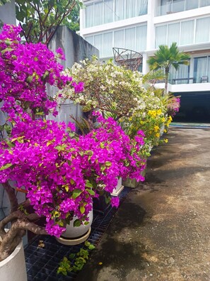 Appartamento, 2 camere da letto, fumatori, balcone | Giardino