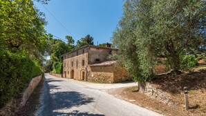 A narrow road leading to a stone building with arched doorways, surrounded by olive trees and greenery. - Apartment 'La Banditina' with Private Terrace, Wi-Fi and Air Conditioning (Vico dʼArbia)