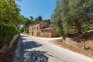 Un camino estrecho que lleva a un edificio de piedra con arcos, rodeado de olivos y vegetación.