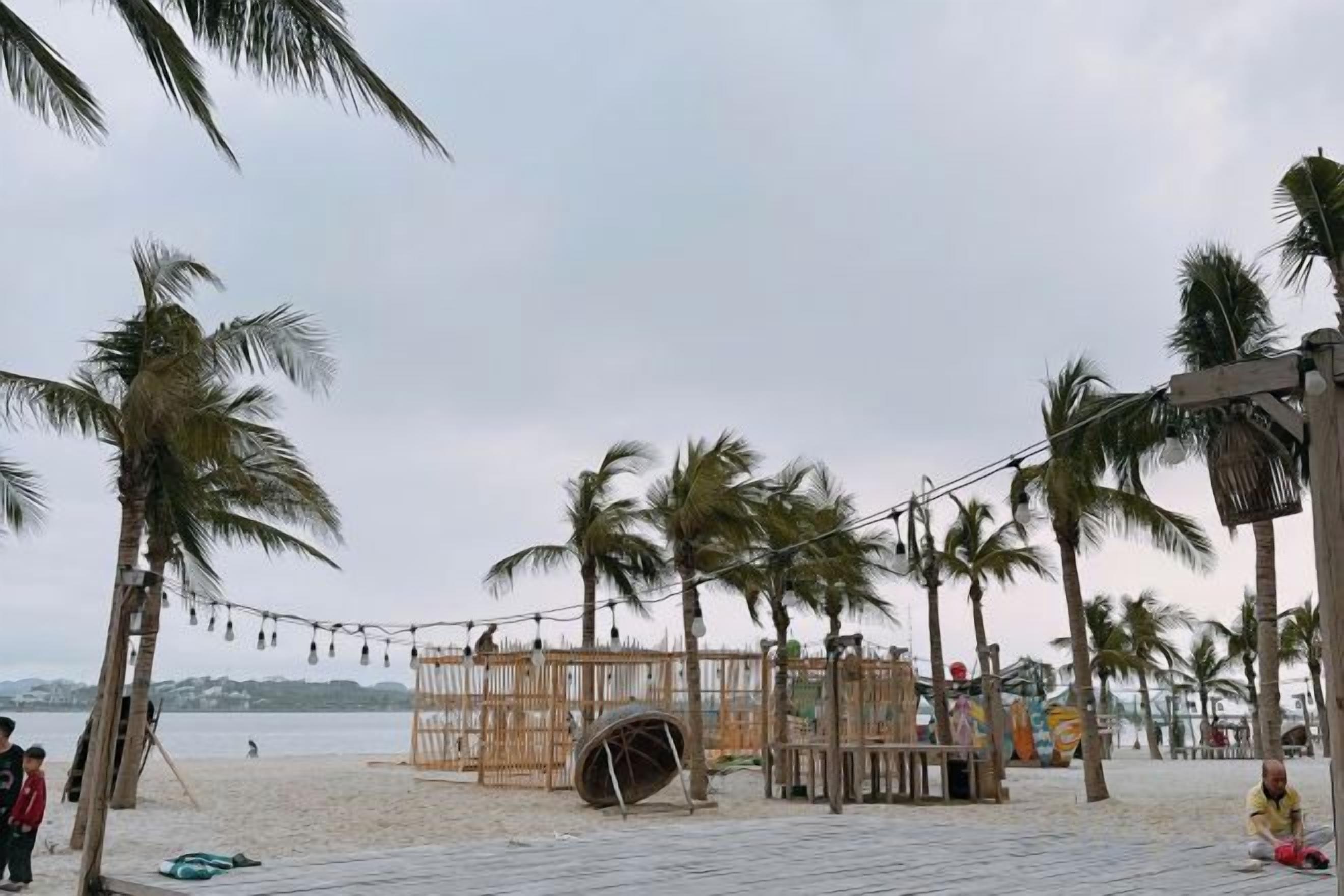A beach with palm trees, a wooden structure, and a sandy area.