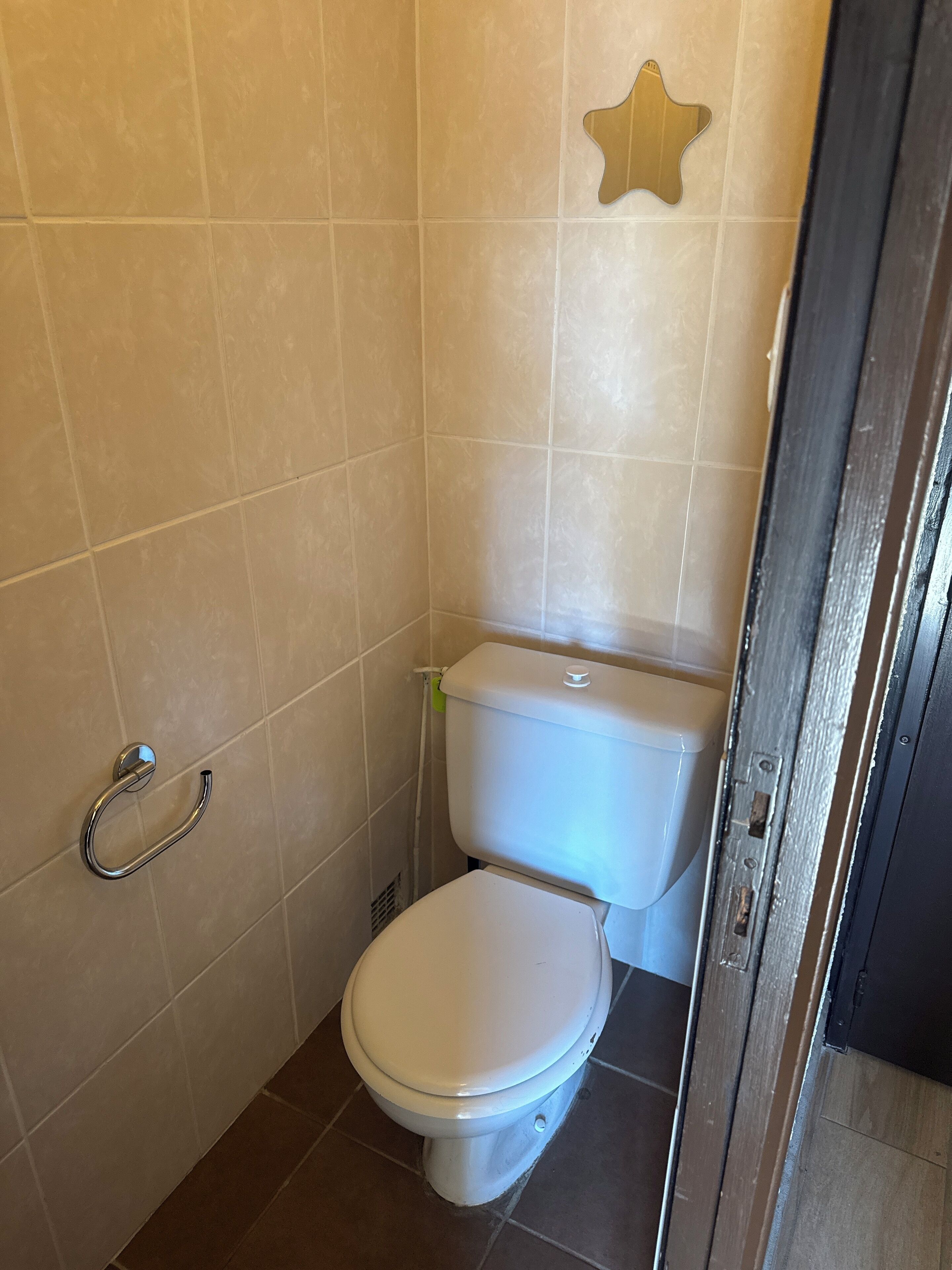 A small, compact bathroom with a white toilet, a metal grab bar, and a star-shaped decoration on the wall.