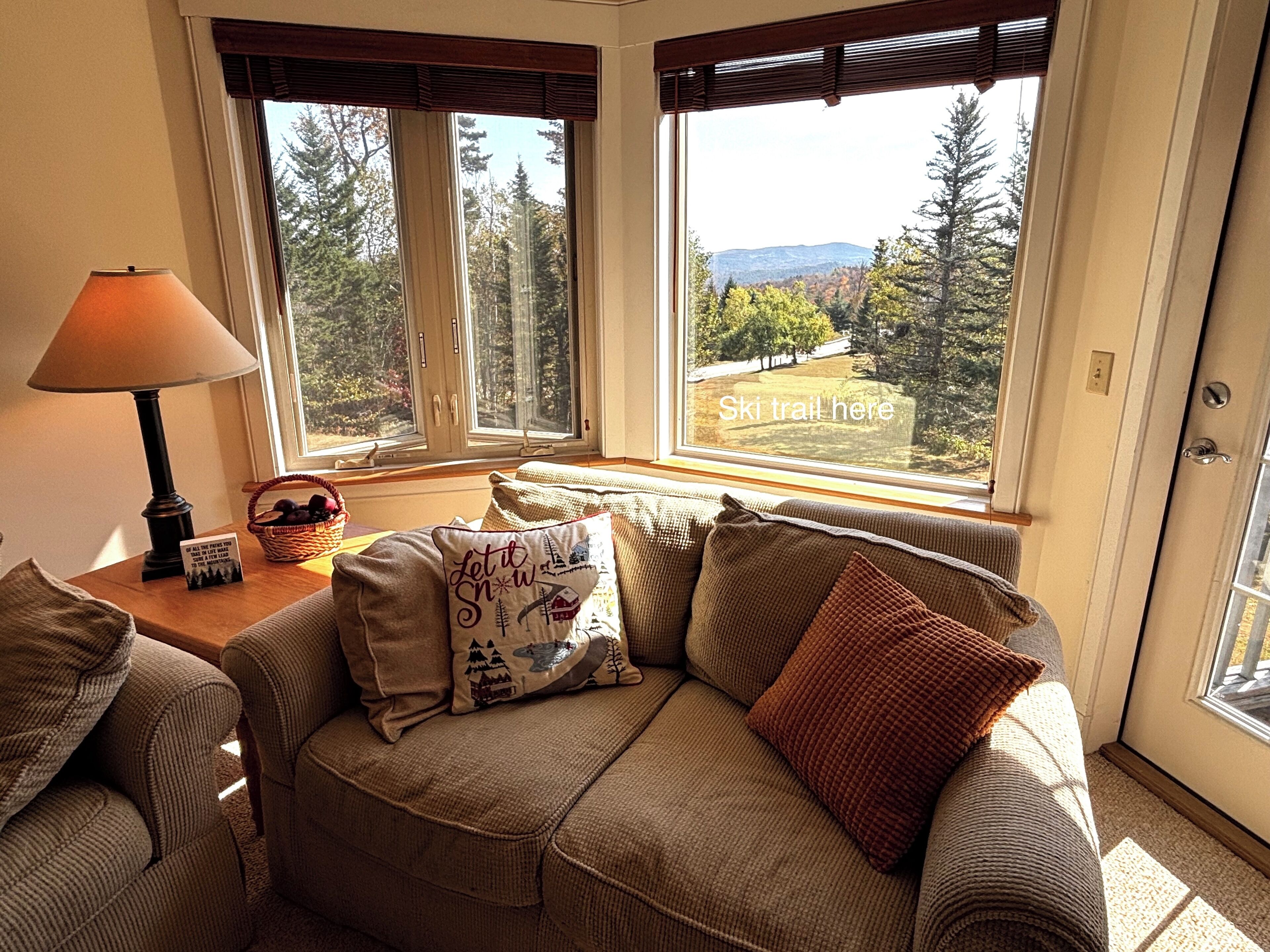 TV, fireplace, ping pong