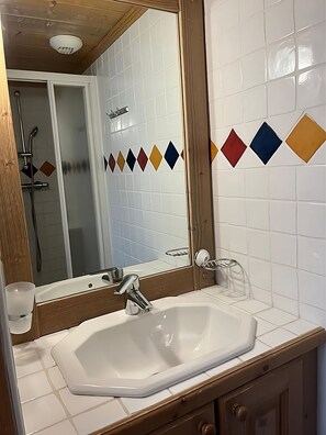 Shower, hair dryer, soap, toilet paper