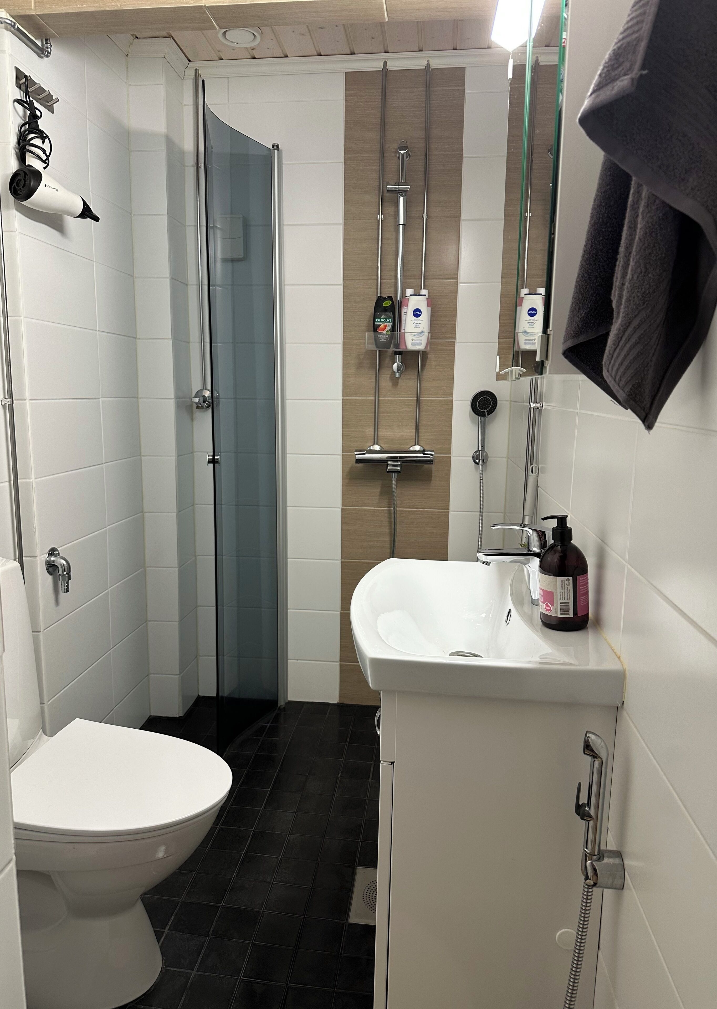 Hårtørrer, bidet, håndklæder, Sæbe