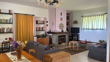 Télévision, cheminée, table de tennis de table, livres