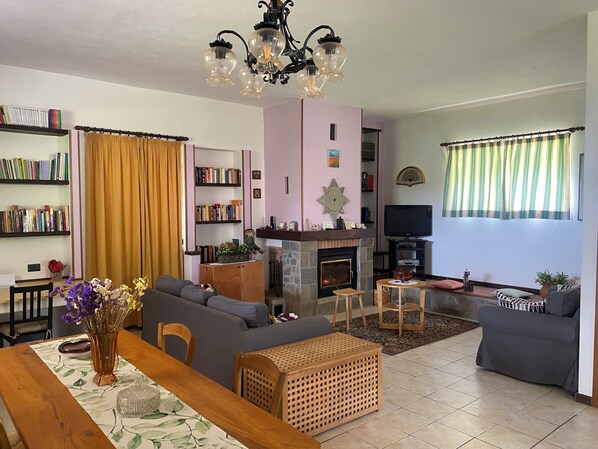 TV, fireplace, ping pong, books