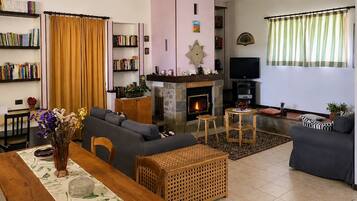 TV, fireplace, table tennis, books