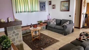 TV, fireplace, table tennis, books