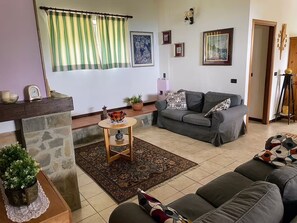 TV, fireplace, ping pong, books