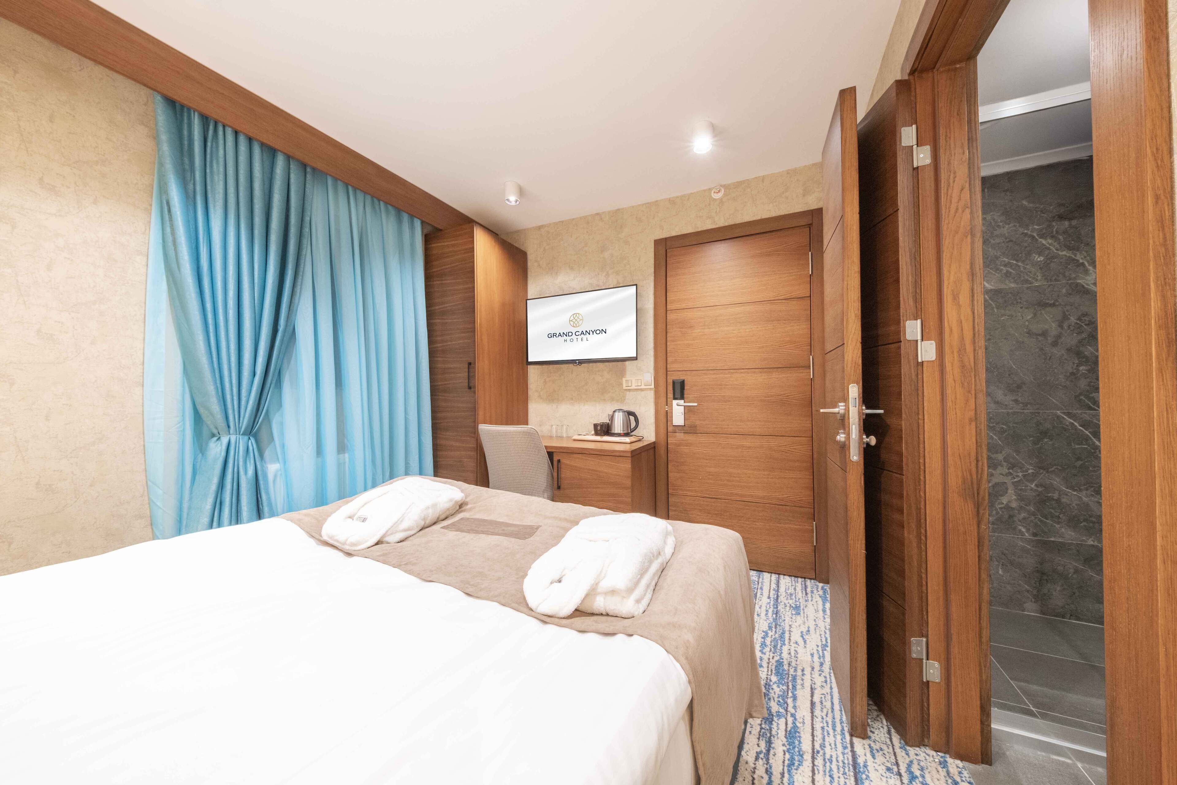 A hotel room with a bed, a desk with a kettle, a television, and a shower area.