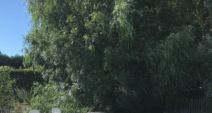 Canon 1-bedroom apartment with pool and jacuzzi