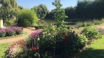 A garden with a pond, various flowering plants, and a clear blue sky.