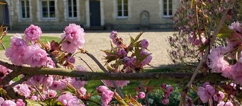 4-bedroom farmhouse set in landscaped gardens with pool & fishing lake