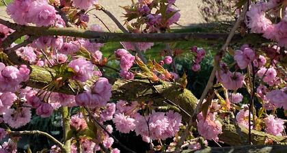 maison ferme 4 chambres avec piscine et lac de pĂȘche