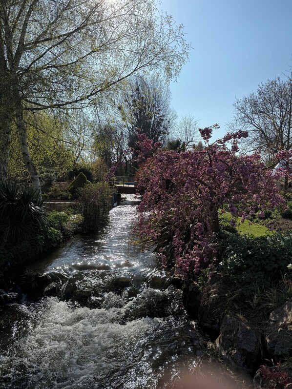 Un arroyo serpentea por un jardín con árboles y un puente al fondo.