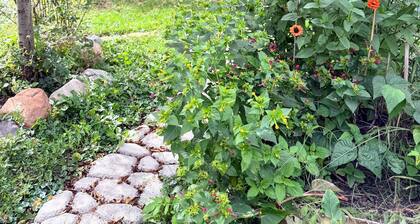 Beautiful third ward home with hot tub and close to Downtown and University.