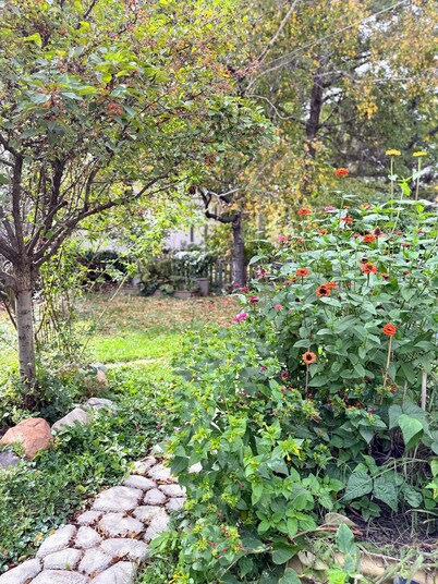 Beautiful third ward home with hot tub and close to Downtown and University.