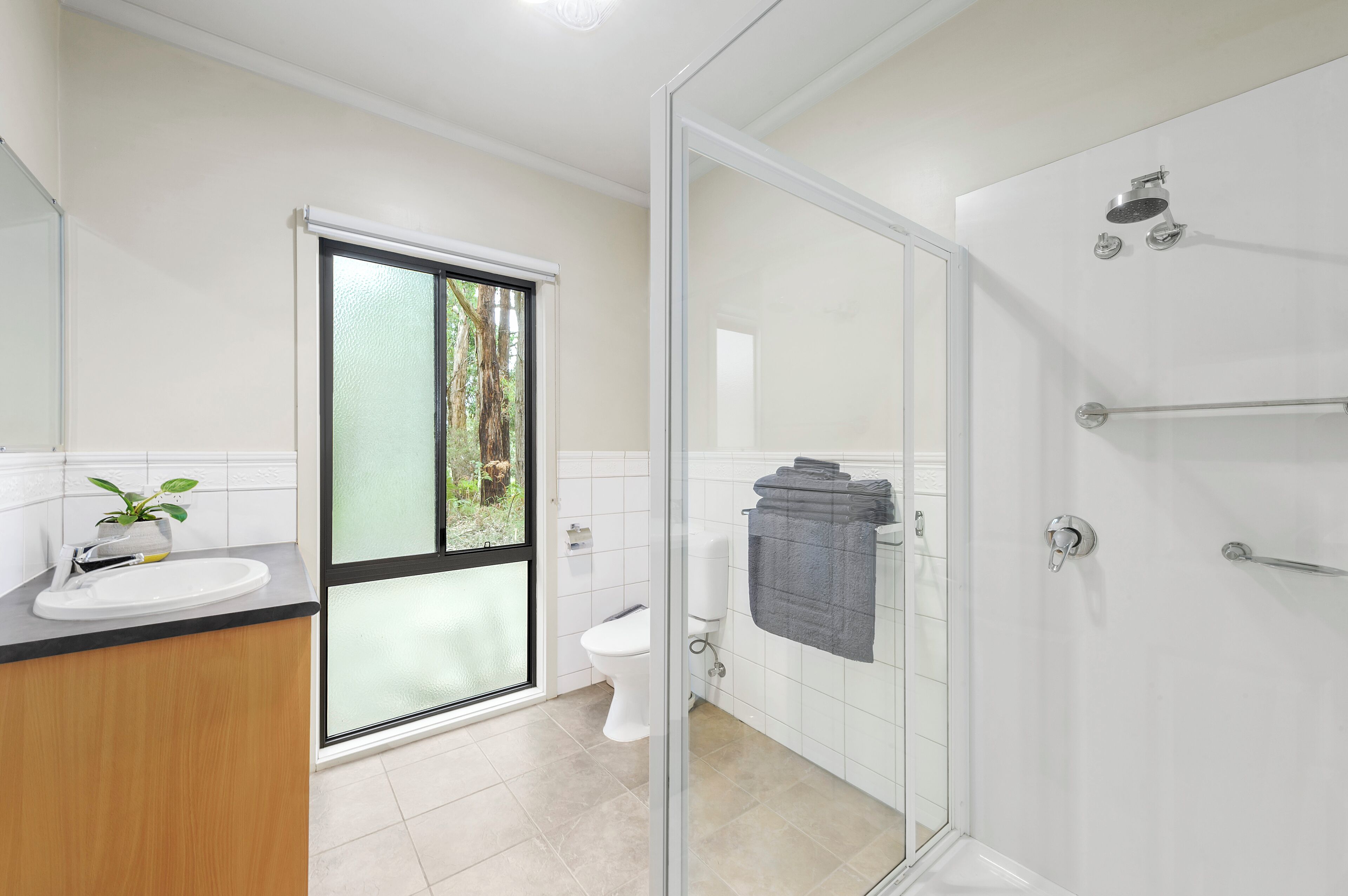 Une salle de bain moderne avec une douche à parois de verre, des toilettes et un lavabo agrémenté d’une plante.