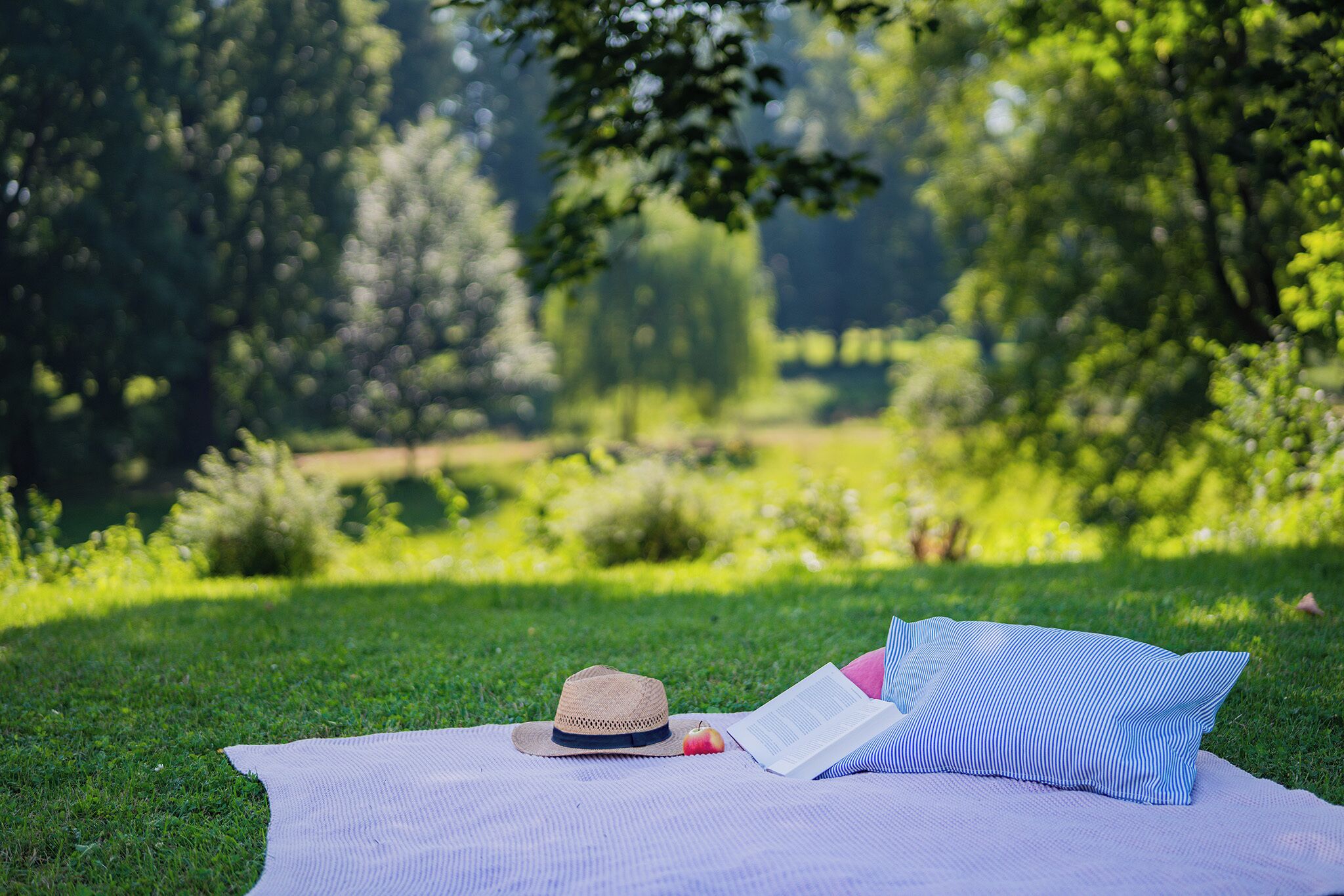 A blanket on grass with a hat and a book.