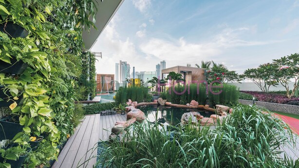 Un jardin sur le toit, doté d’une terrasse en bois, d’une végétation luxuriante, d’un petit étang et offrant une vue sur le panorama urbain en arrière-plan.