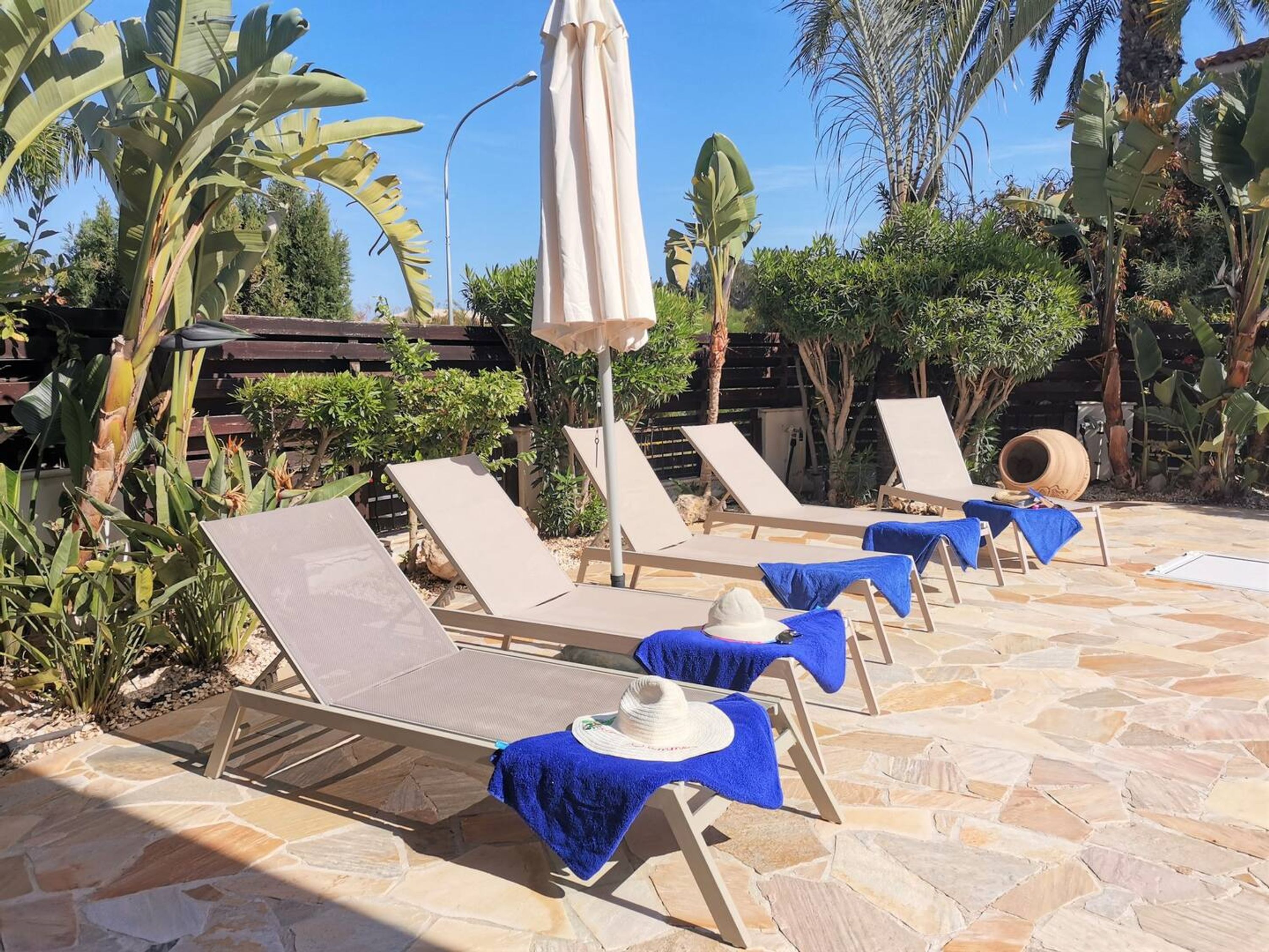 Un área junto a la piscina con sillones de descanso y sombrillas, rodeada de plantas tropicales.
