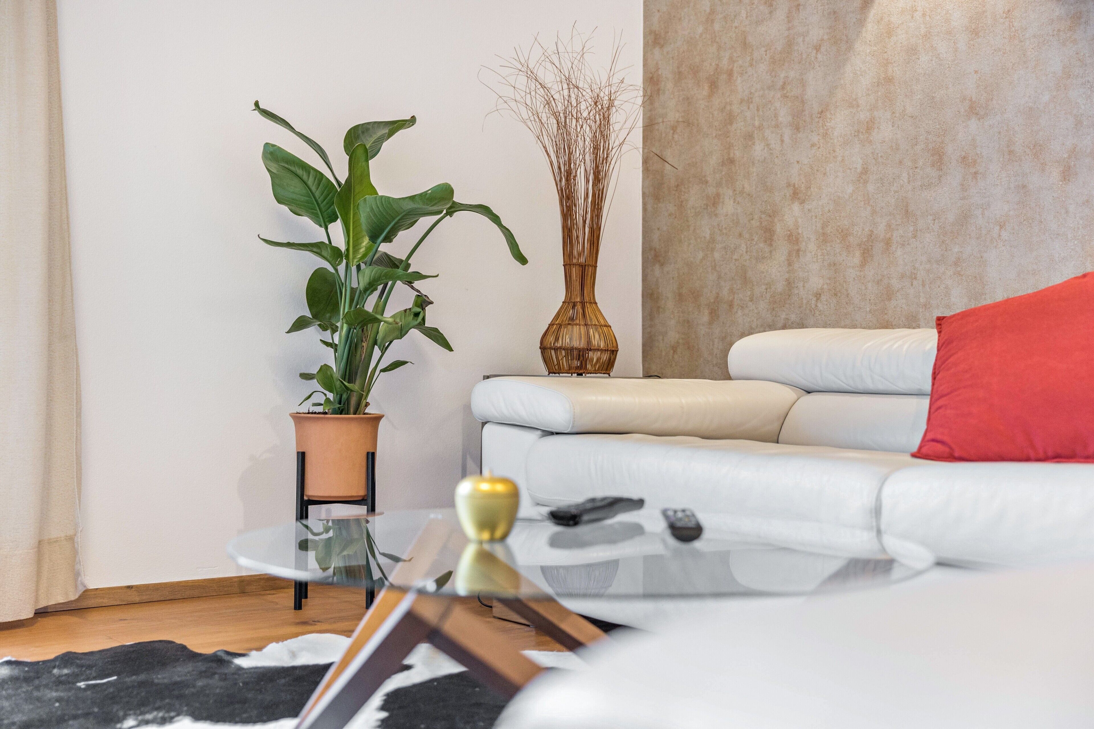 Ein Wohnzimmer mit einem weißen Sofa, einem roten Kissen, einem Glastisch, einer Topfpflanze und einer Vase mit getrockneten Ästen.