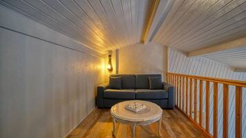 Smart TV, DVD player, books, video library