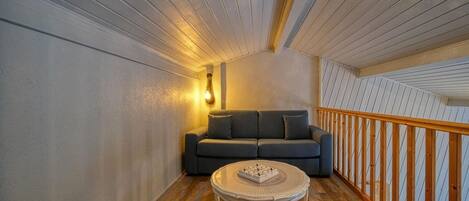 Smart TV, DVD player, books, video library