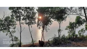 Une vue paisible sur un lac, avec des arbres et un coucher de soleil.