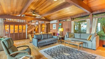 Télévision, cheminée, livres, espaces bureaux