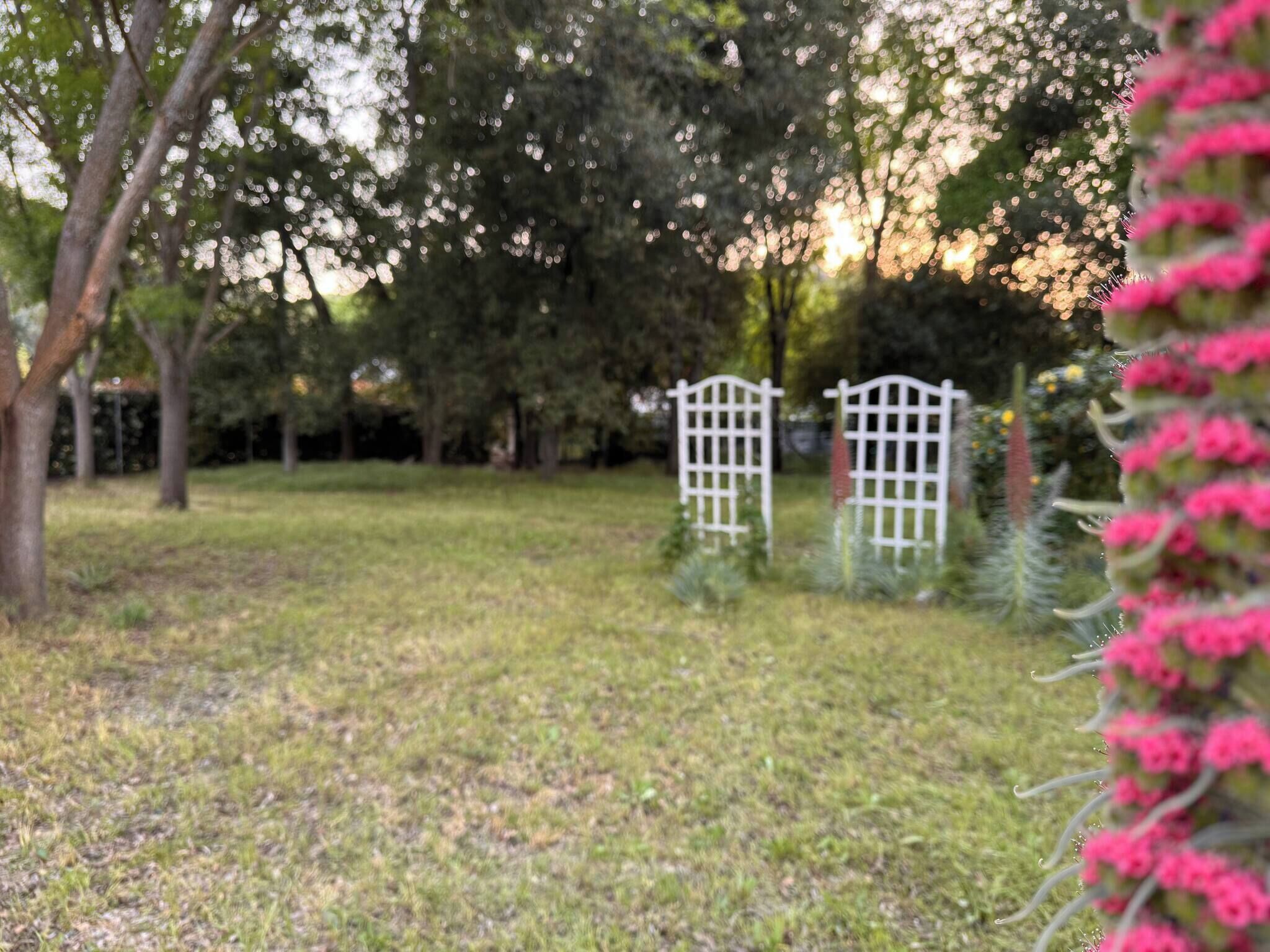 House, 3 Bedrooms, Smoking | Property grounds