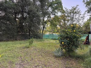 House, 3 Bedrooms, Smoking | Property grounds - Magic Sequoia Spacious Home (Three Rivers)