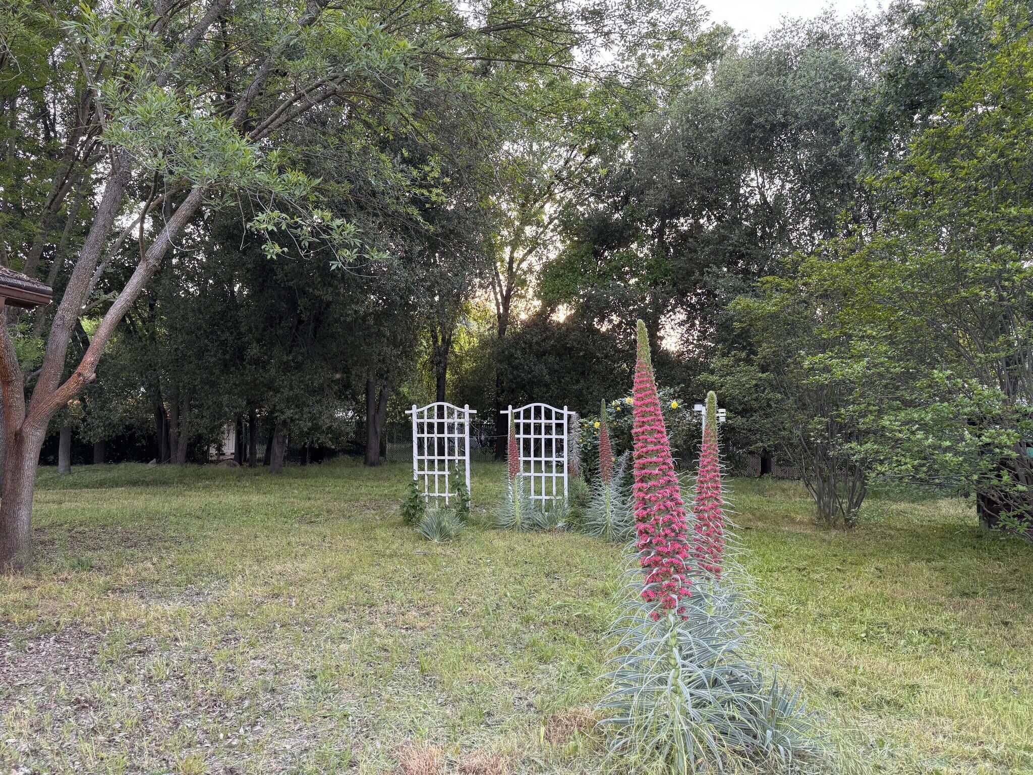 House, 3 Bedrooms, Smoking | Property grounds