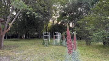 House, 3 Bedrooms, Smoking | Property grounds