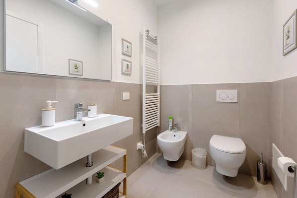 Shower, hair dryer, towels