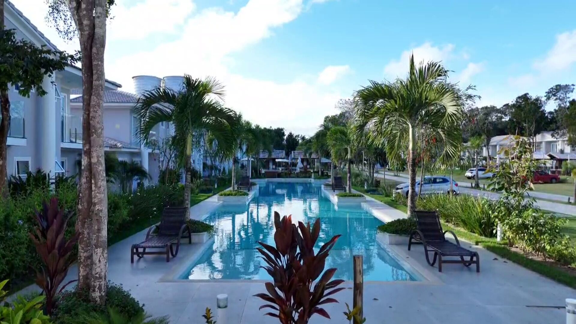 A pool area with lounge chairs, palm trees, and a clear sky.