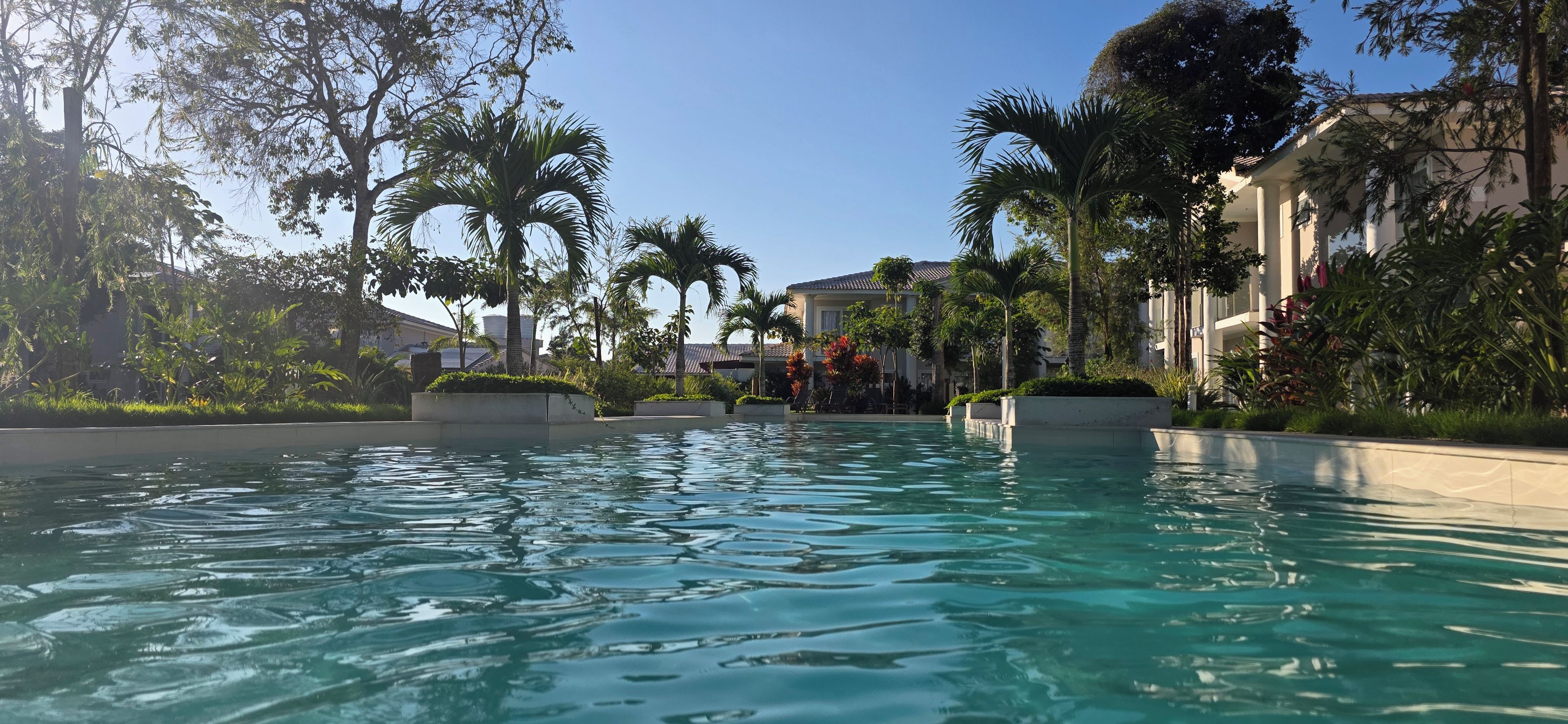 A swimming pool with clear water, surrounded by palm trees and a building with a tiled roof.