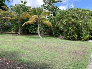 Property grounds - Sainte-Anne villa l Amandine (Sainte-Anne)