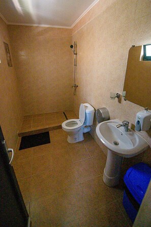 Quarto solteiro, vista para a cidade | Banheiro | Produtos de toalete grátis, secador de cabelo, toalhas de banho 