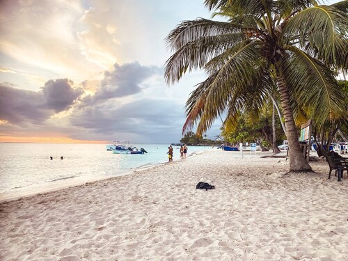 Apartment 5 Mins Walk To The Beach