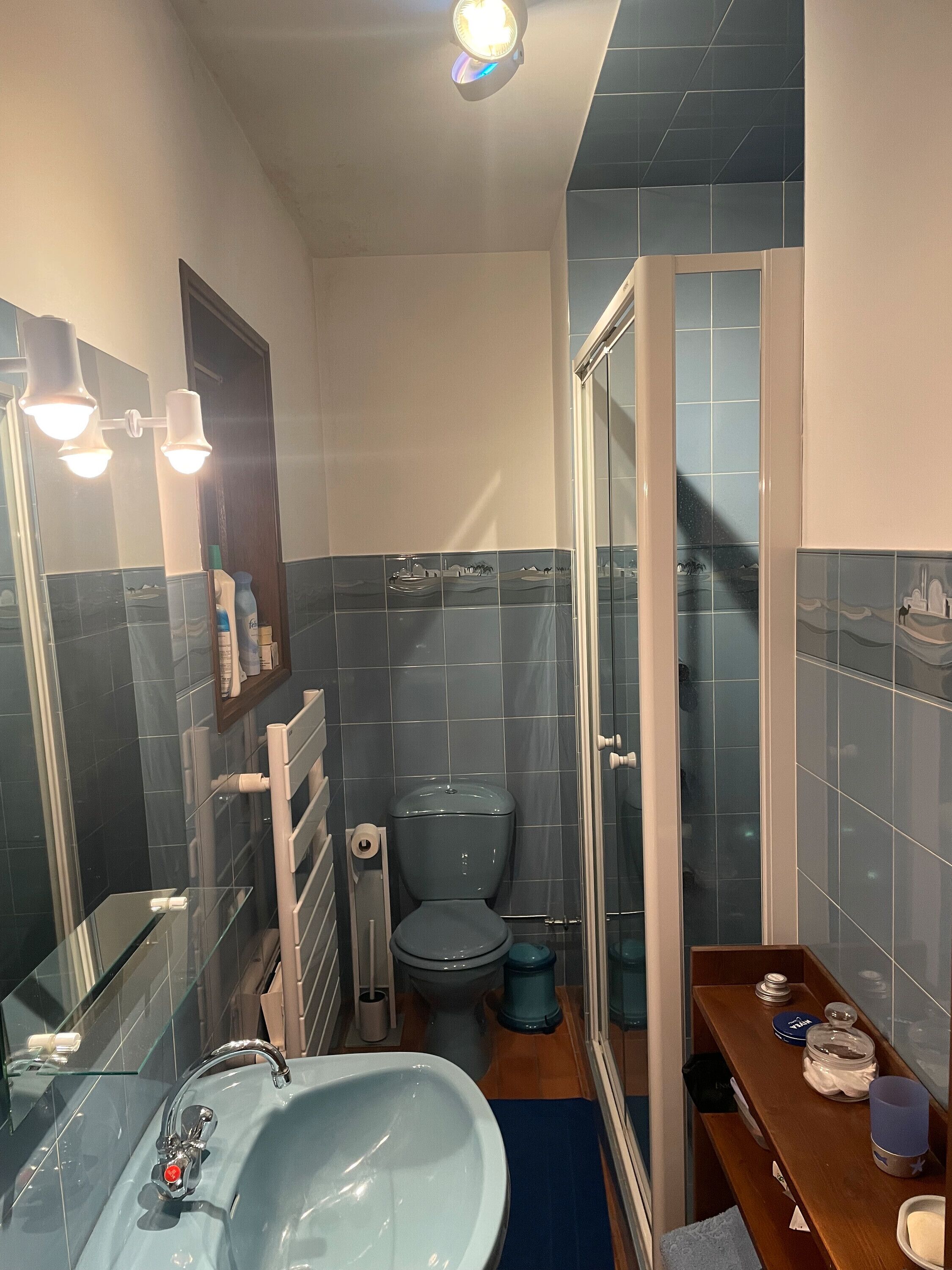 Dusche, Haartrockner, Handtücher