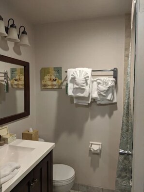 Hiustenkuivaaja, pyyhkeet, saippua, vessapaperi