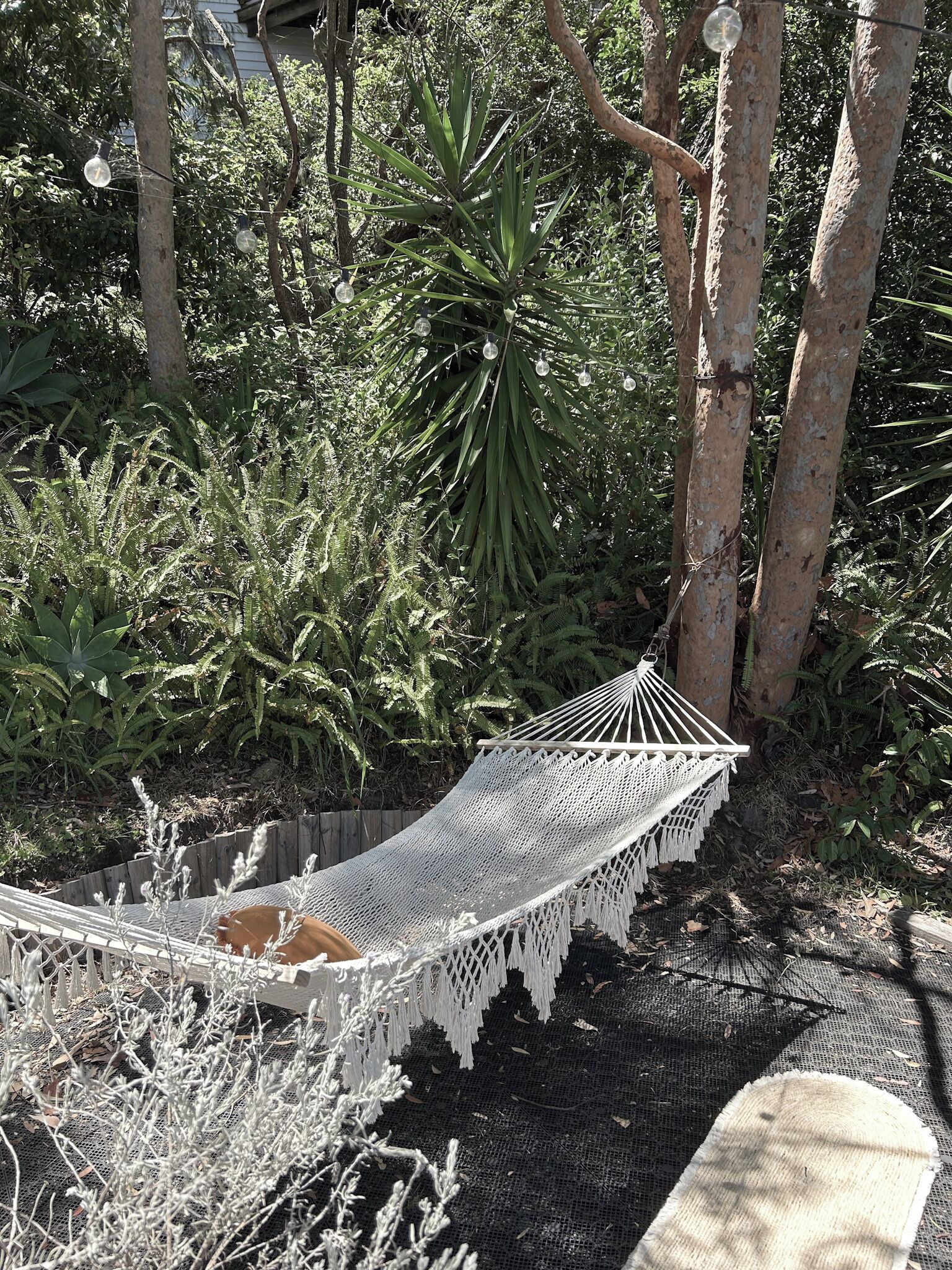 A hammock tied between trees in a garden with dense foliage and a wooden fence in the background.