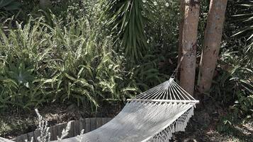 A hammock tied between trees in a garden with dense foliage and a wooden fence in the background.