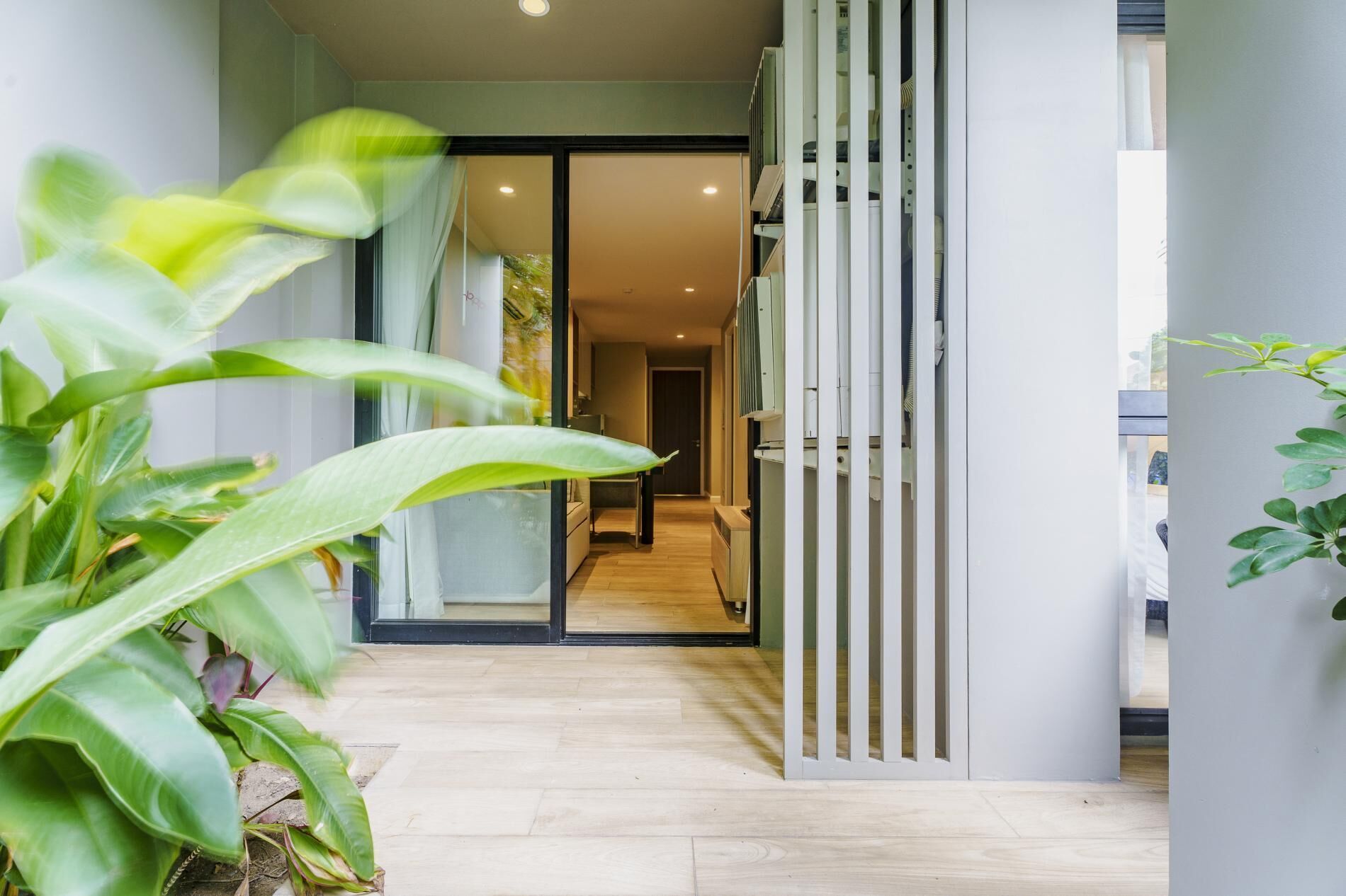 Deluxe Apartment (2 Bedrooms) | View from room