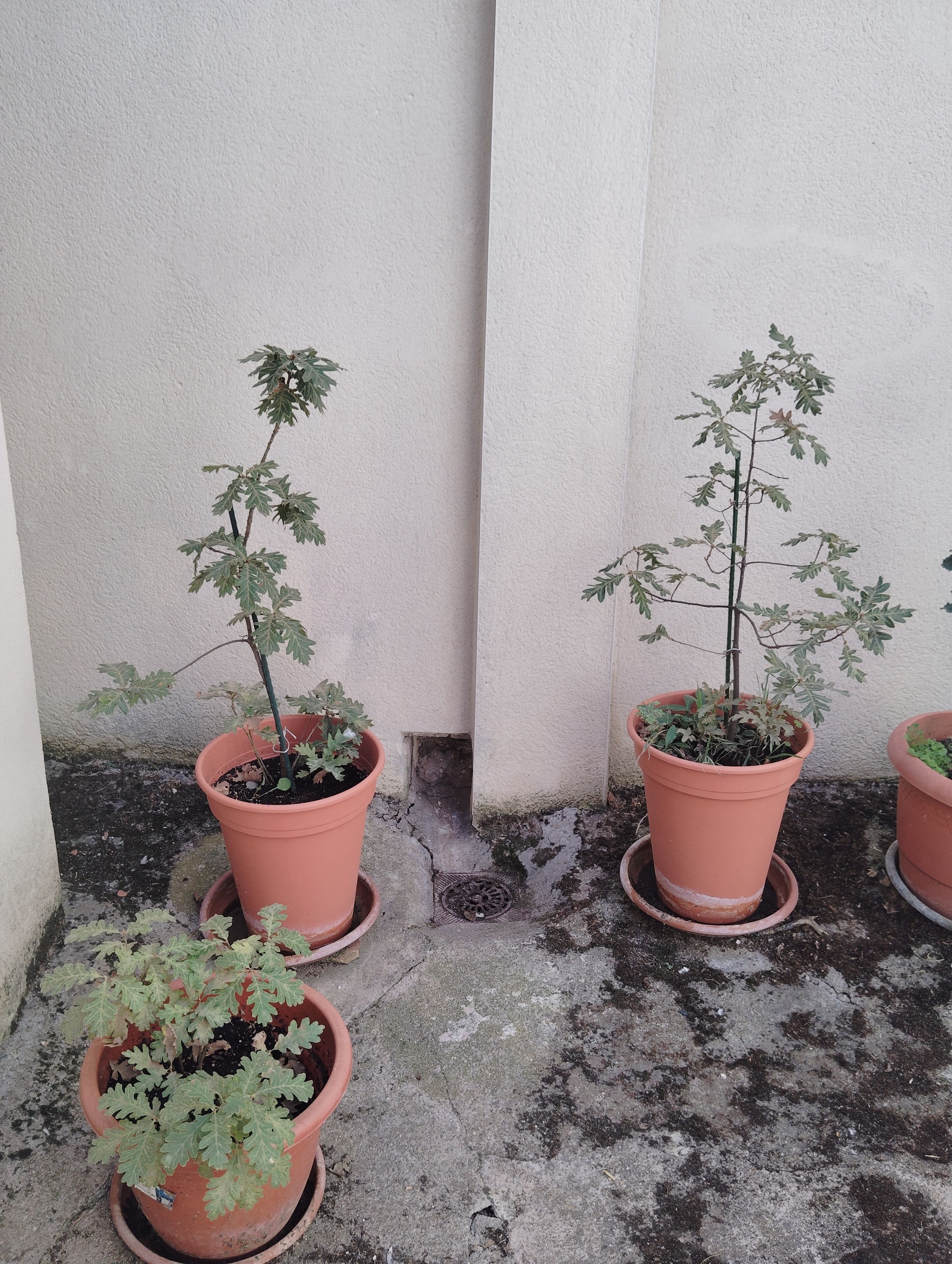 تفاصيل الفندق من الخارج