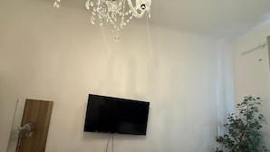 Une pièce avec un téléviseur à écran plat fixé au mur, une porte en bois et une plante en pot.